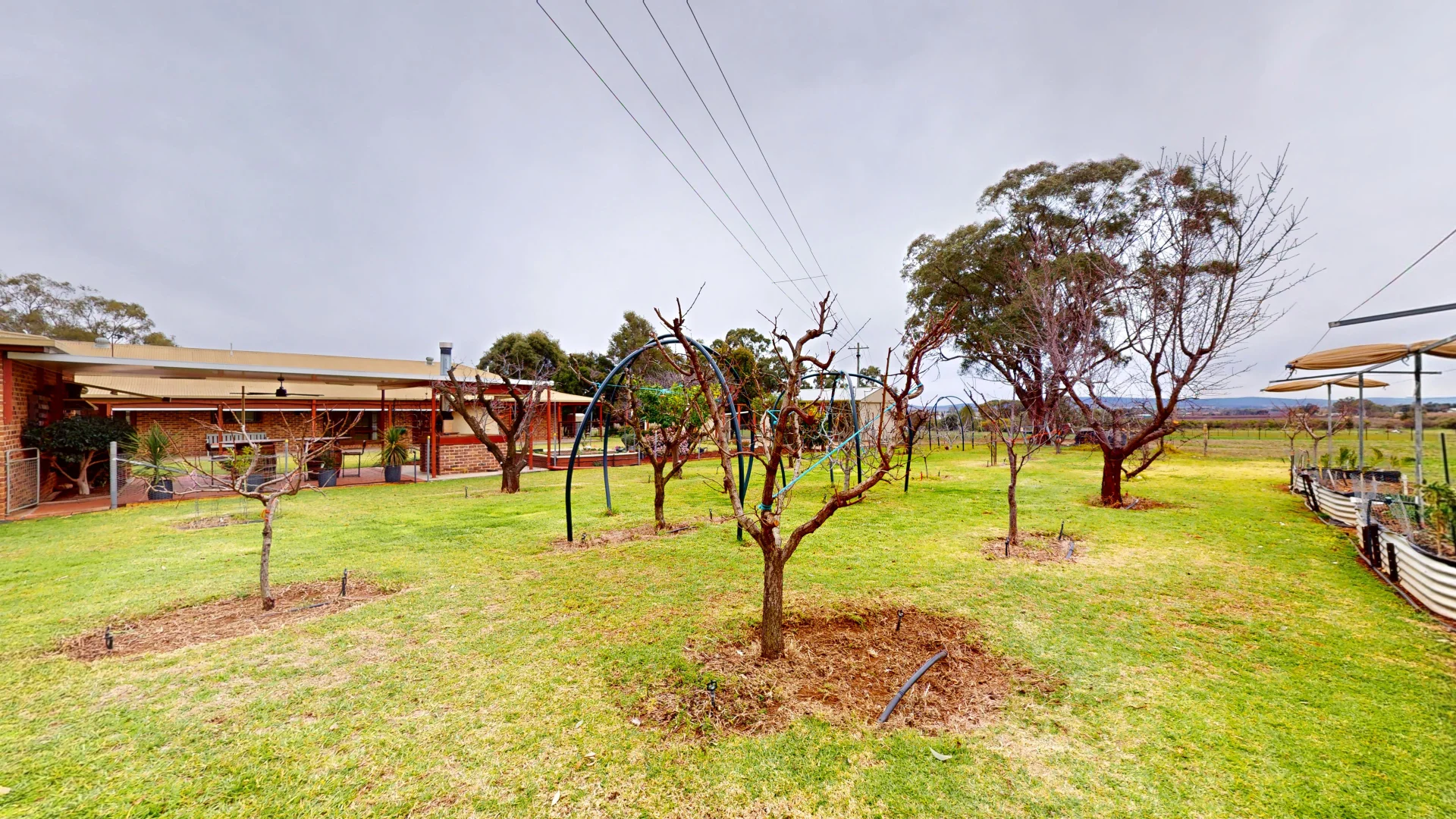 Additional image 25 of 114 Tabain Rd, Merungle Hill NSW 2705