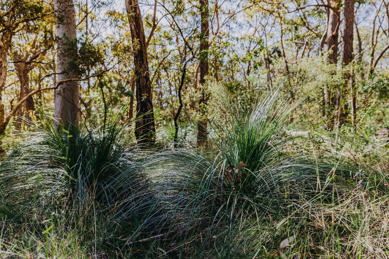 Additional image 19 of 23 Uffington Road, Duns Creek NSW 2321