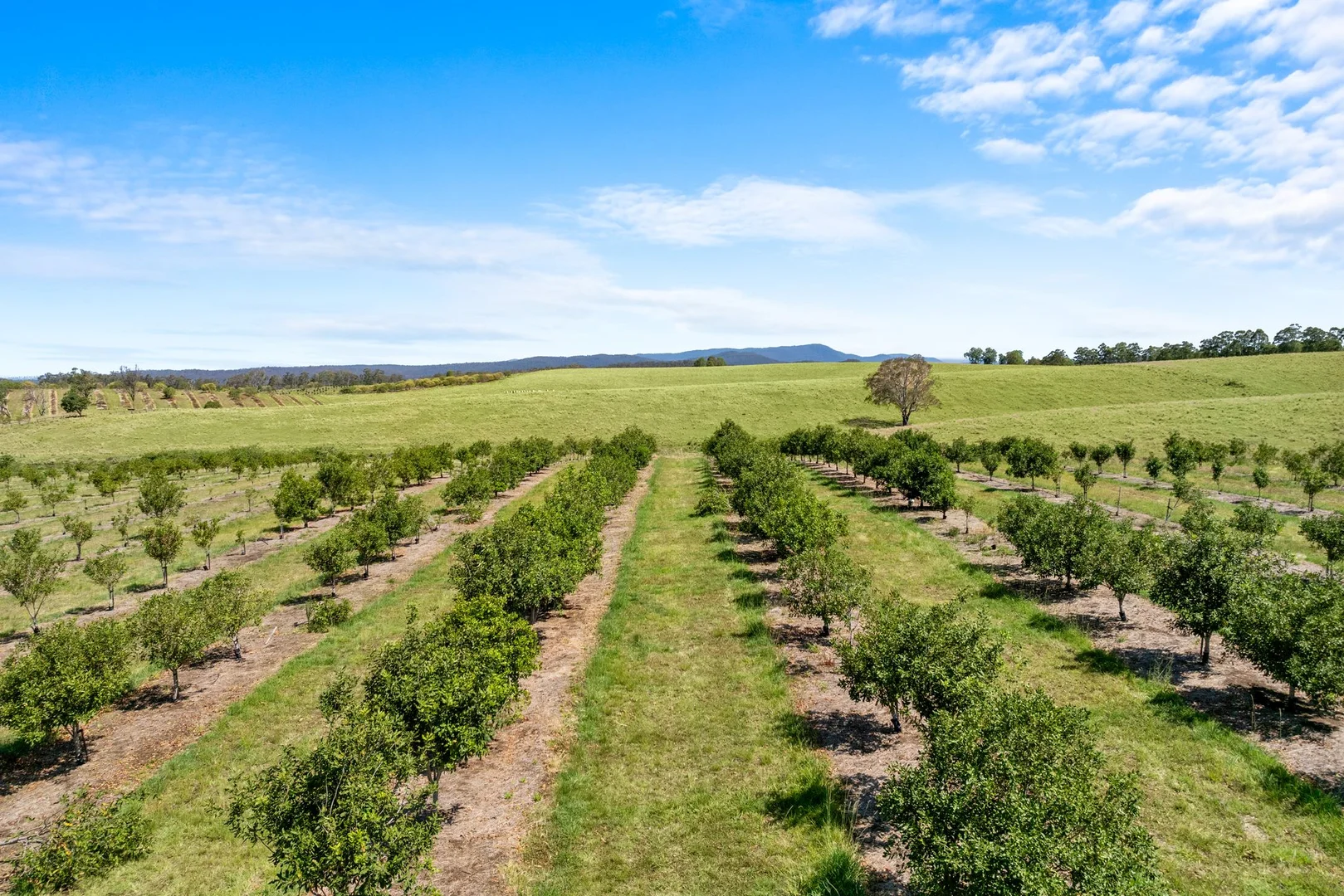 Additional image 10 of 1255 Bulmers Road, Hogarth Range NSW 2469