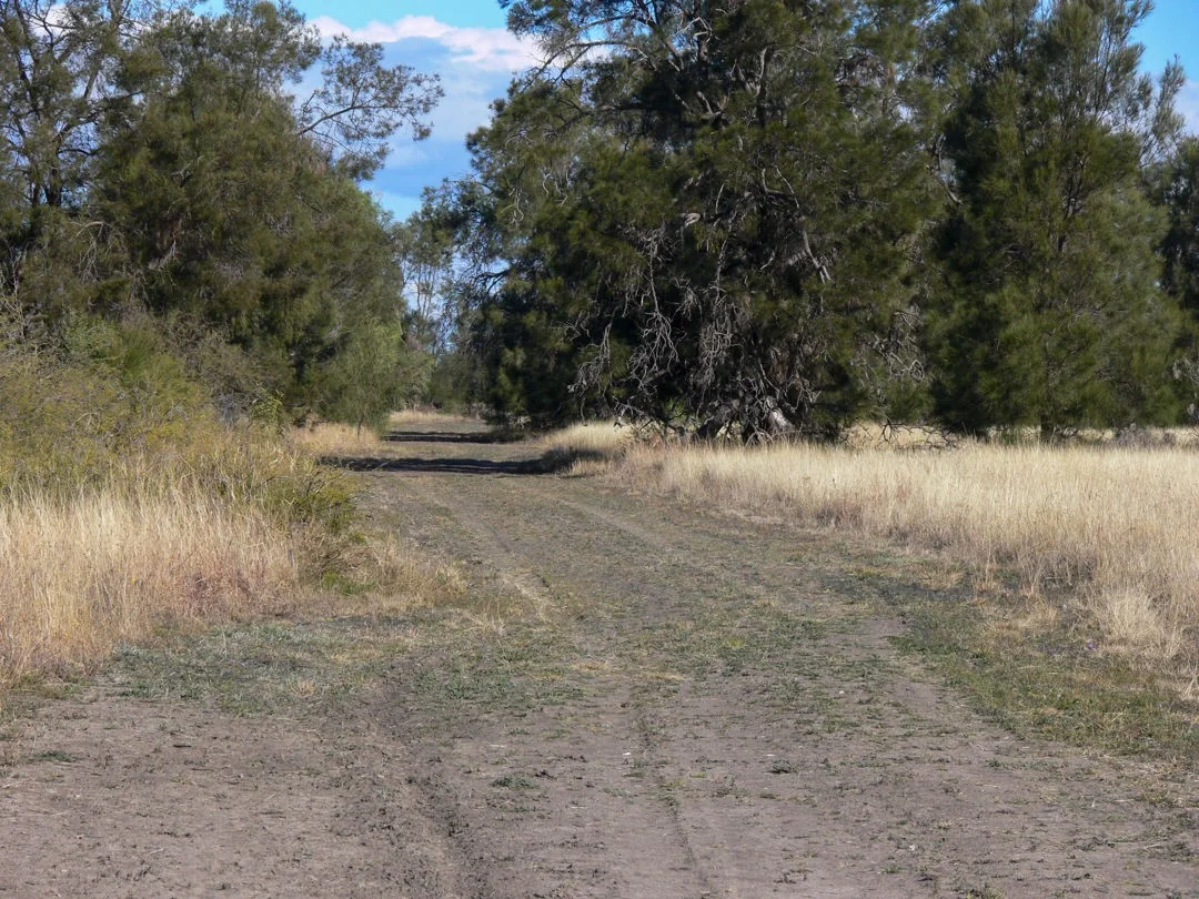 Additional image 16 of "FOREST VALE", Gurley NSW 2398