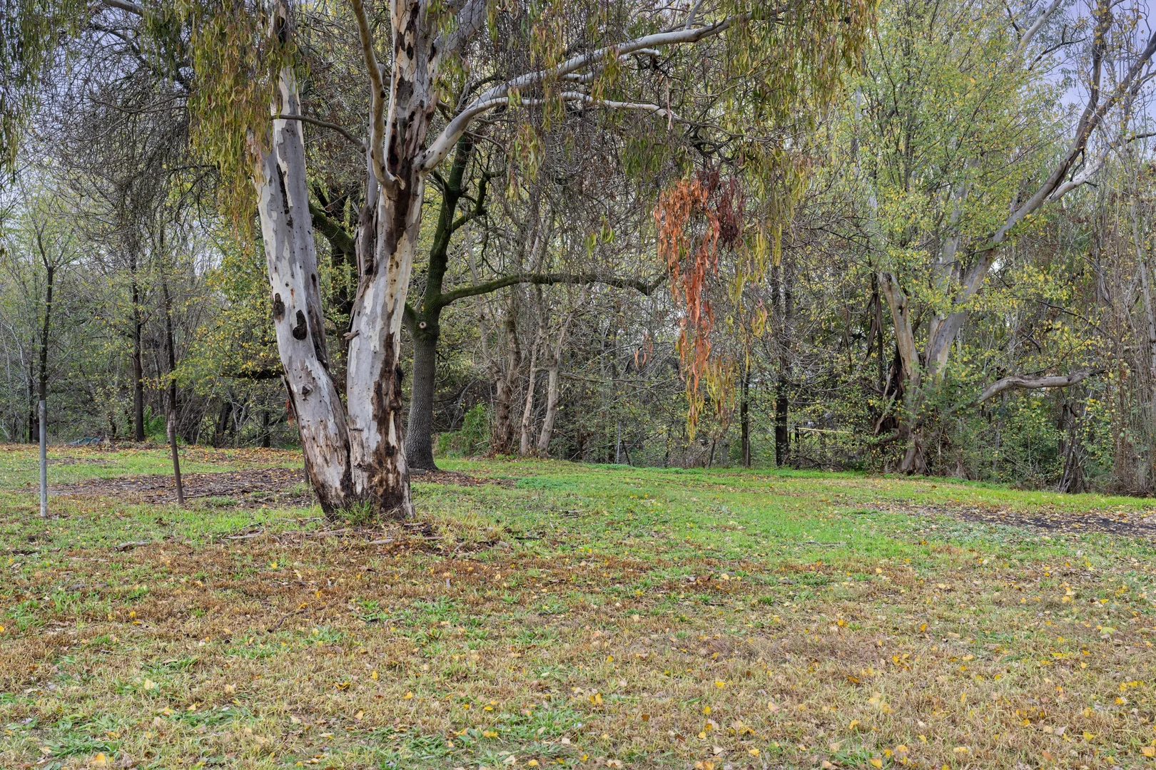 Additional image 2 of 449 Kremur Street, West Albury NSW 2640