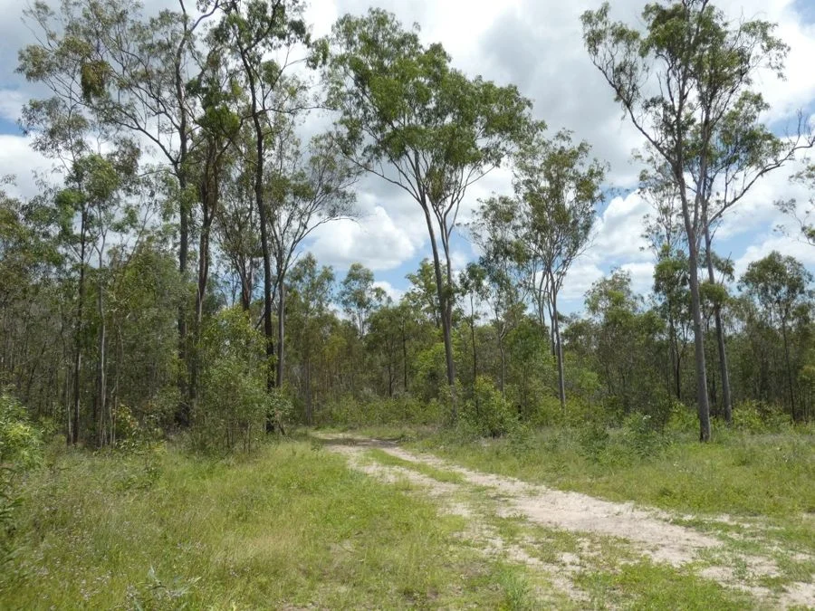 Additional image 33 of Lot 41 Moolyung Road, Waterloo QLD 4673