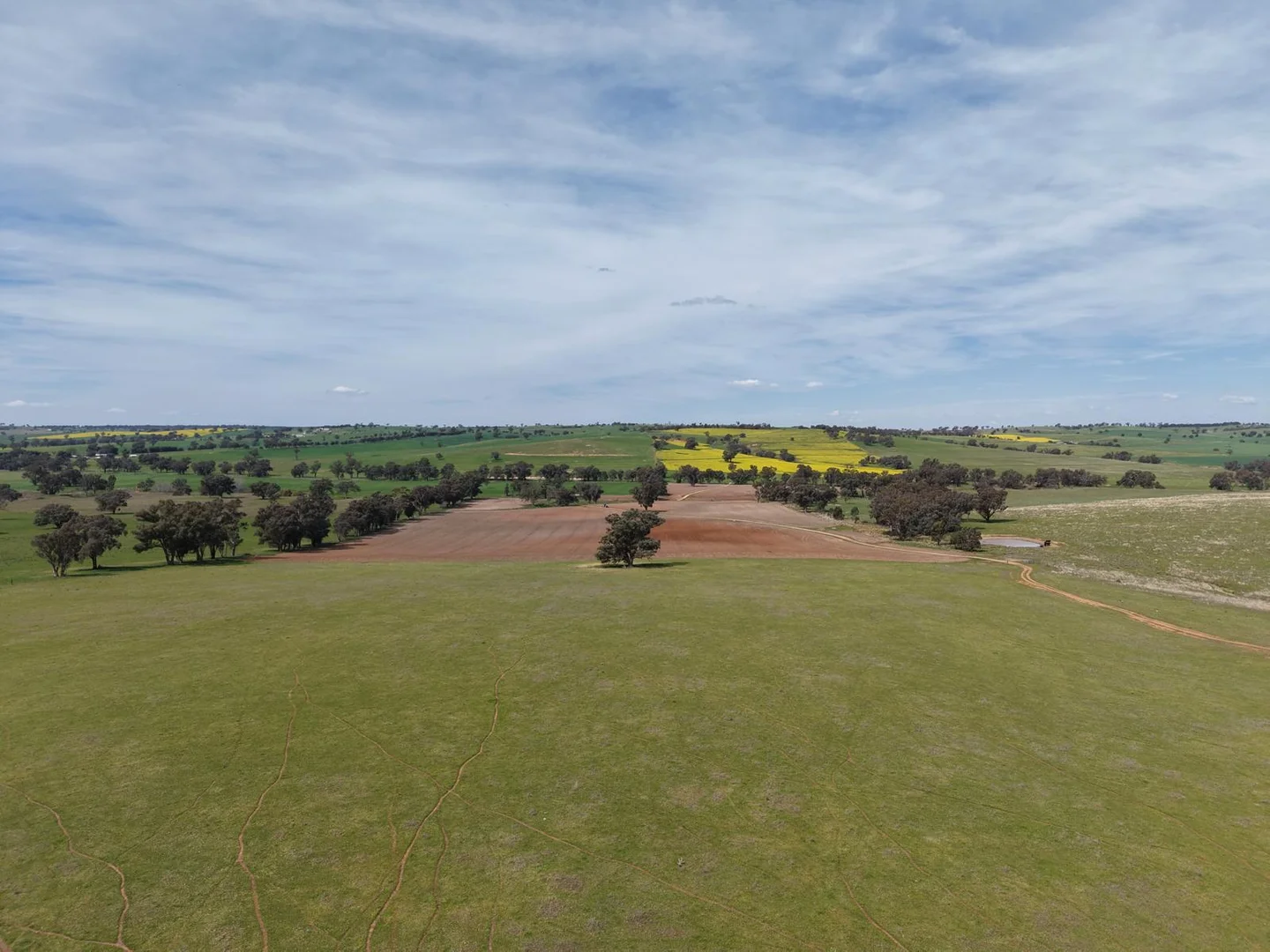 Additional image 30 of Bumbaldry Road, Greenethorpe NSW 2809