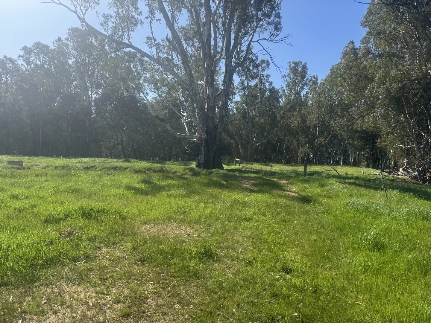 Additional image 26 of . Bangerang Road, Kanyapella VIC 3564