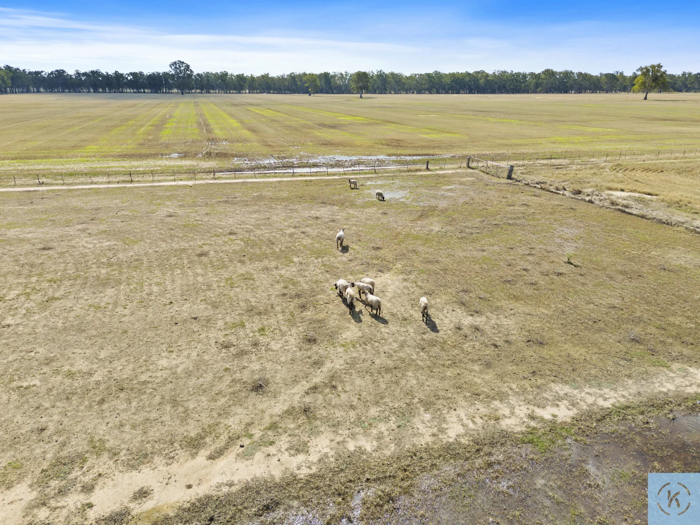 Additional image 36 of 7243 Goulburn Valley Highway, Koonoomoo VIC 3644