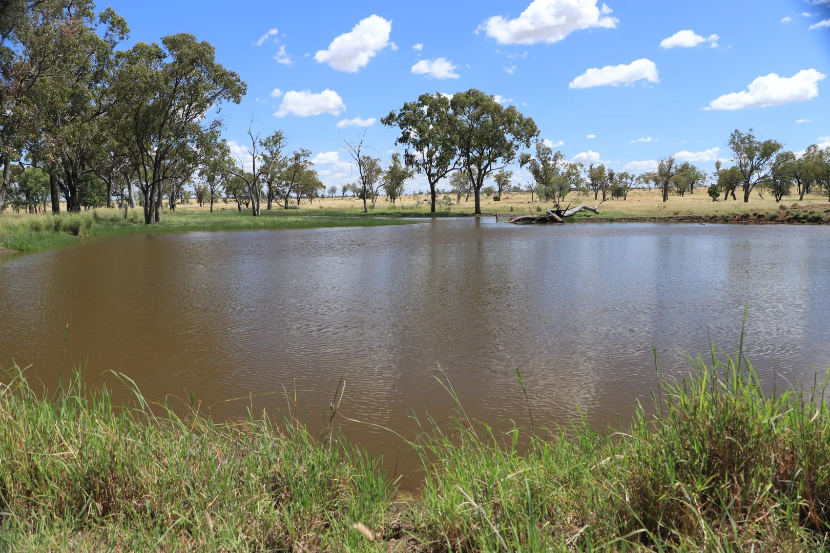 Additional image 4 of 205 Redbank Road, Roma QLD 4455