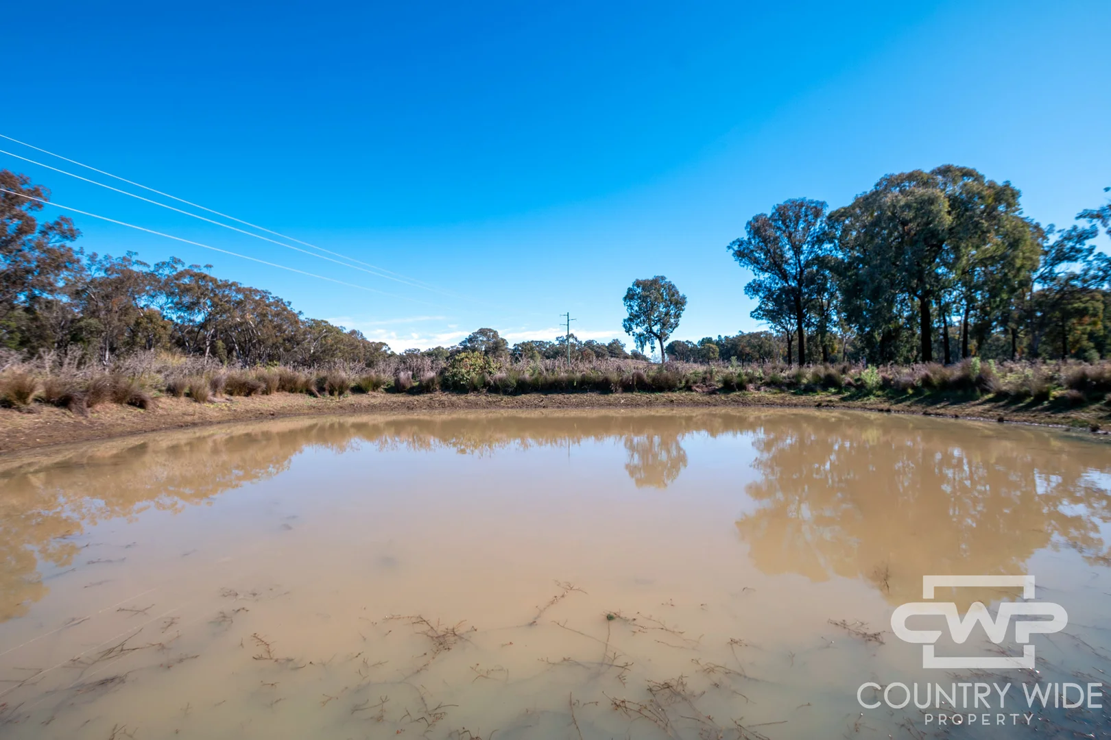 Additional image 8 of 8, - Emmaville Road, Emmaville NSW 2371