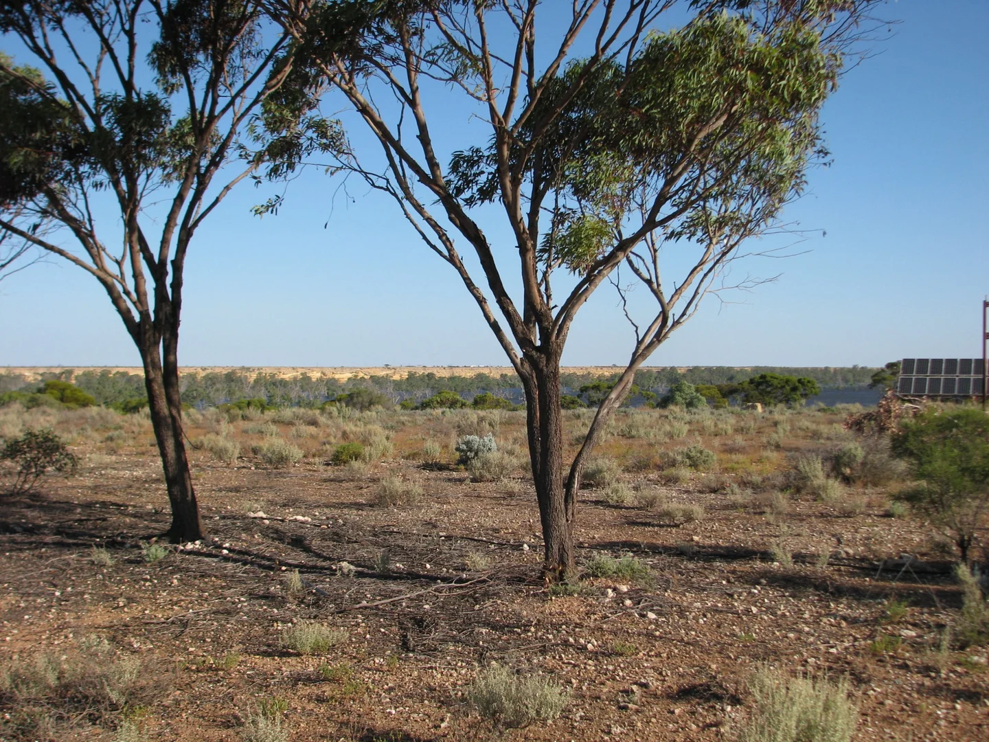 Additional image 3 of lot 1000 Merivale Street, Blanchetown SA 5357