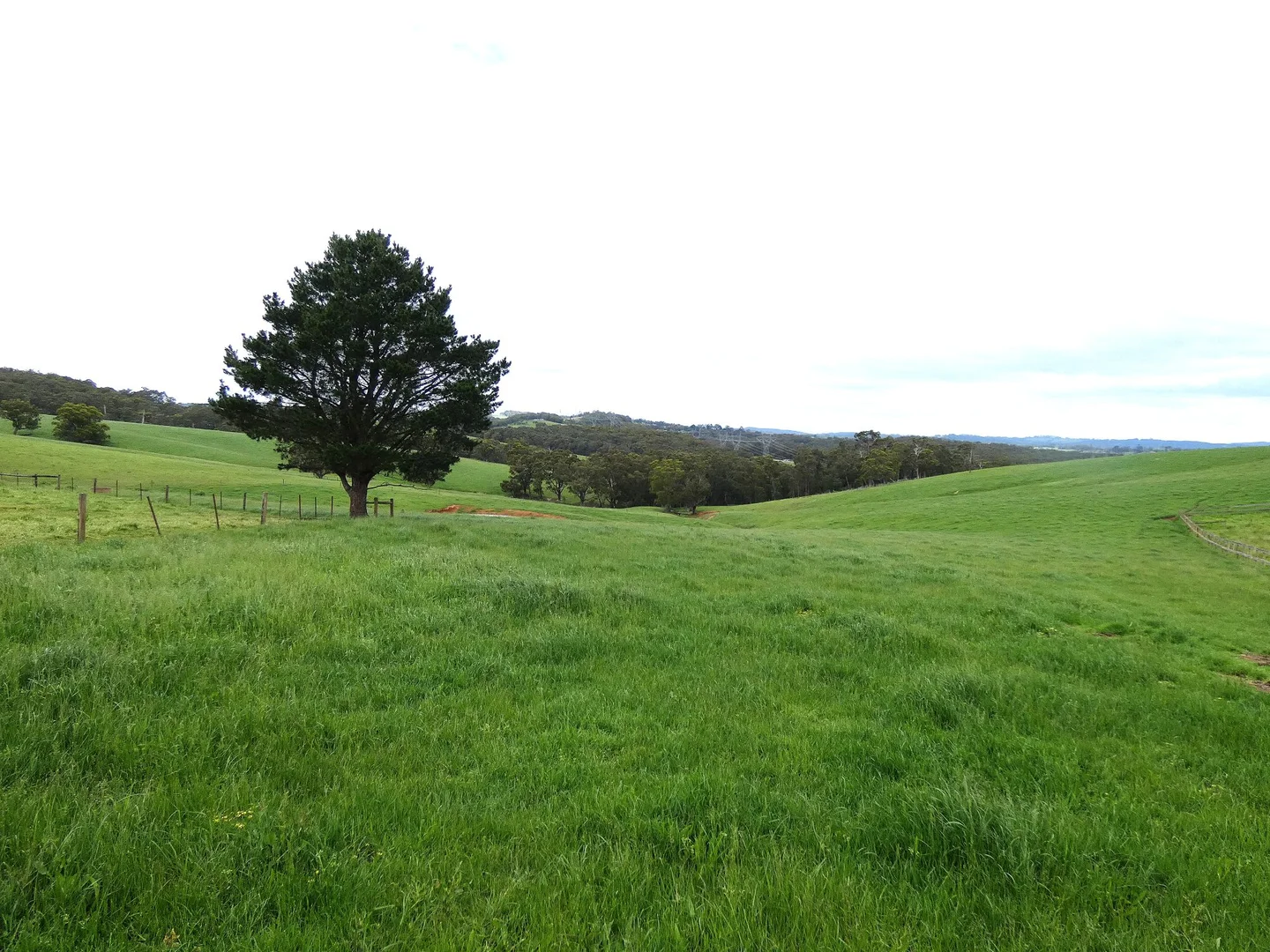 Additional image 18 of 125 Sheepstation Creek Road, Yellingbo VIC 3139