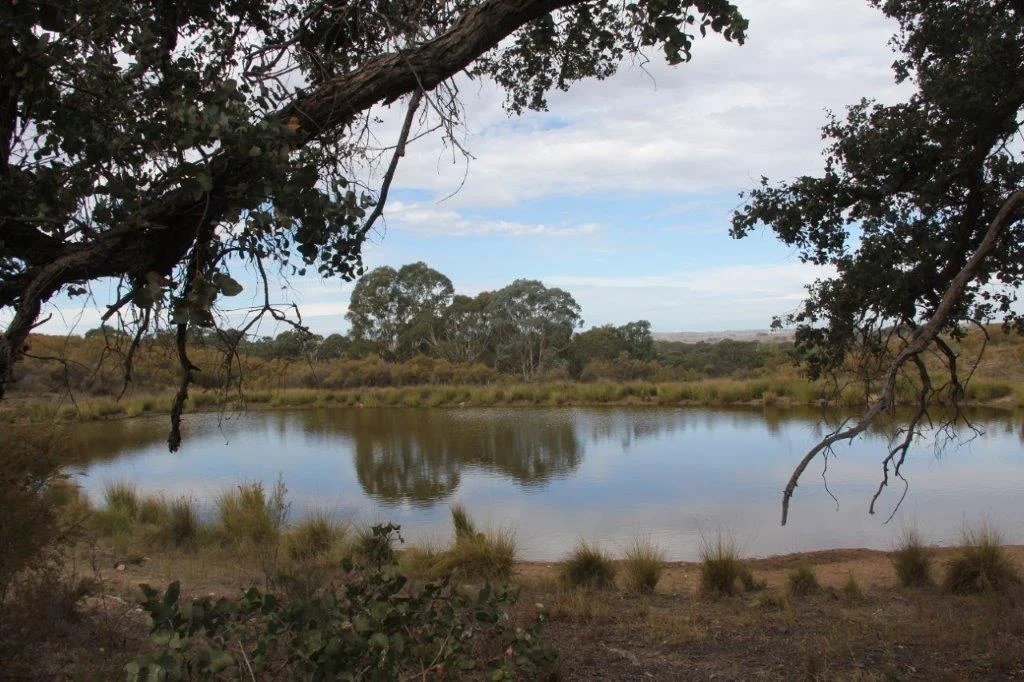 Additional image 4 of 2137 Kiowarrah Road, Bevendale NSW 2581