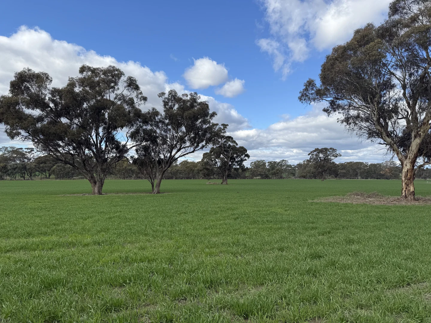 Additional image 12 of 1077 Horsham-Noradjuha Road, Lower Norton VIC 3401