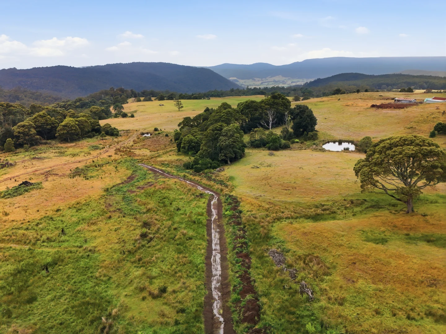 Additional image 6 of 28834 Tasman Highway, Weldborough TAS 7264