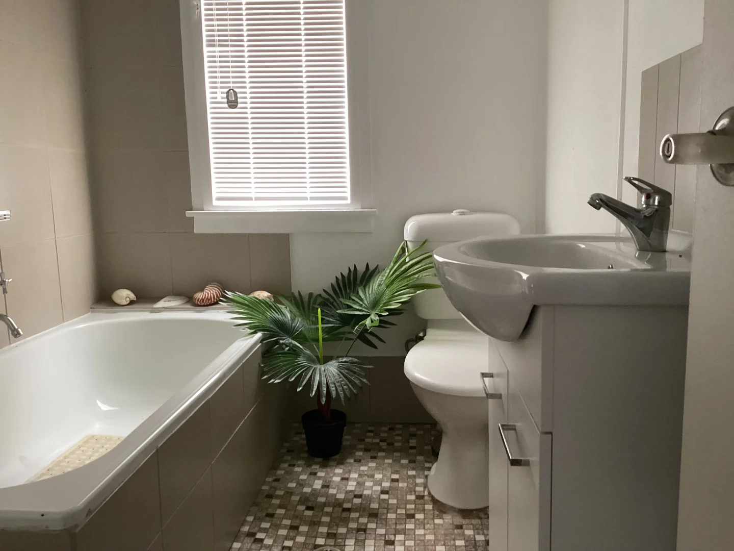 Additional image 6 of 58 Federal Street, Lockhart NSW 2656