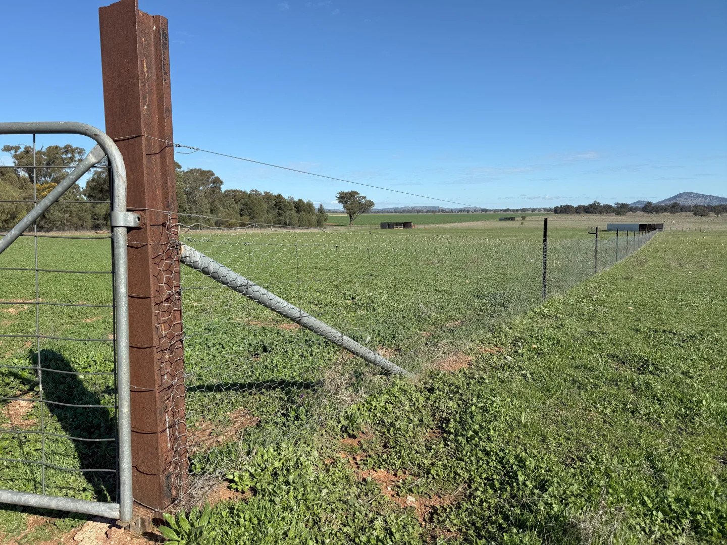 Additional image 11 of Wirrinya Road, Forbes NSW 2871