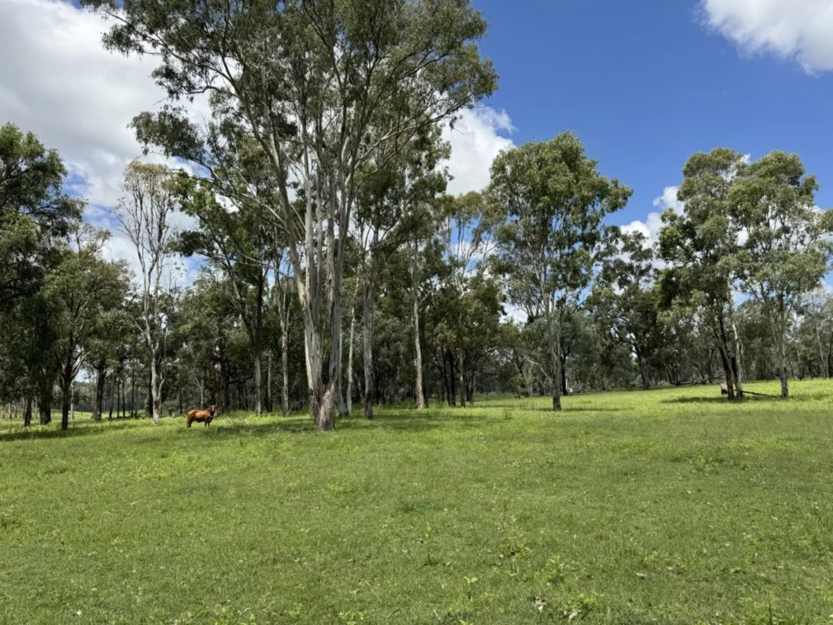 Additional image 40 of 2655 Clonmel Road, Monto QLD 4630