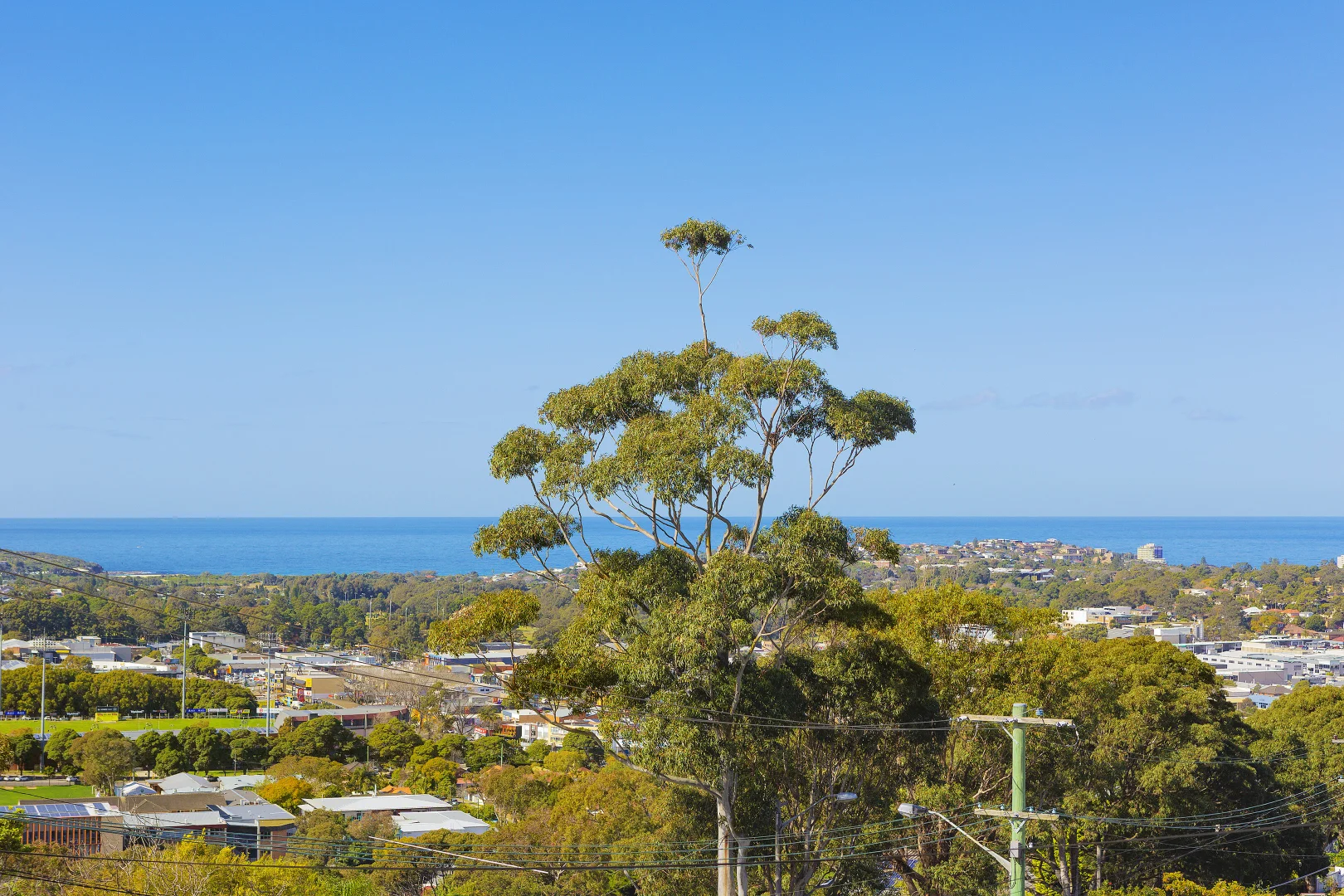 Additional image 5 of 55 Beacon Hill Road, Beacon Hill NSW 2100