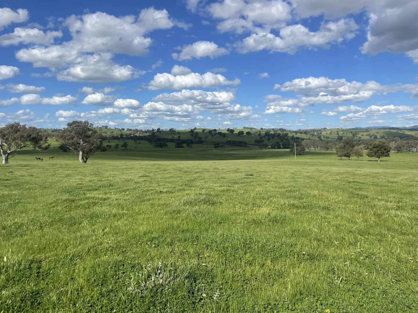 Additional image 7 of Lot 70 Cooney's Creek Road, Jugiong NSW 2726