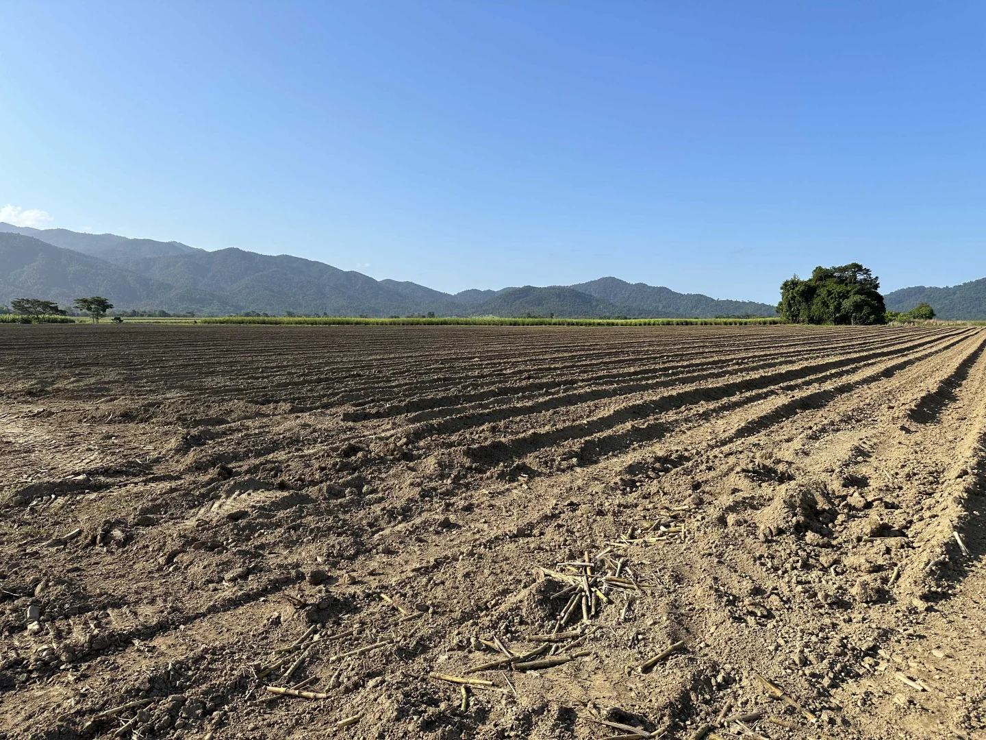 Additional image 11 of Lot 2 Broderick Road, Midgenoo QLD 4854