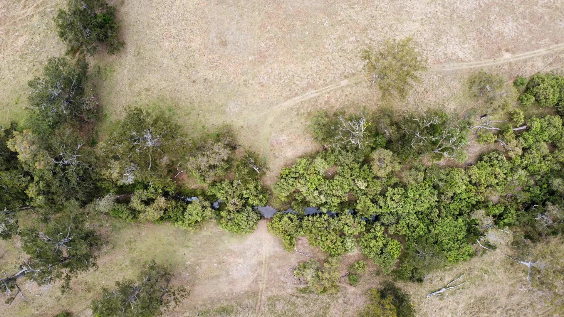 Additional image 20 of 4900 Tableland Road, Tablelands QLD 4680