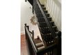 Additional image 11 of 35 Randolph St, Yonkers, NY, 10705