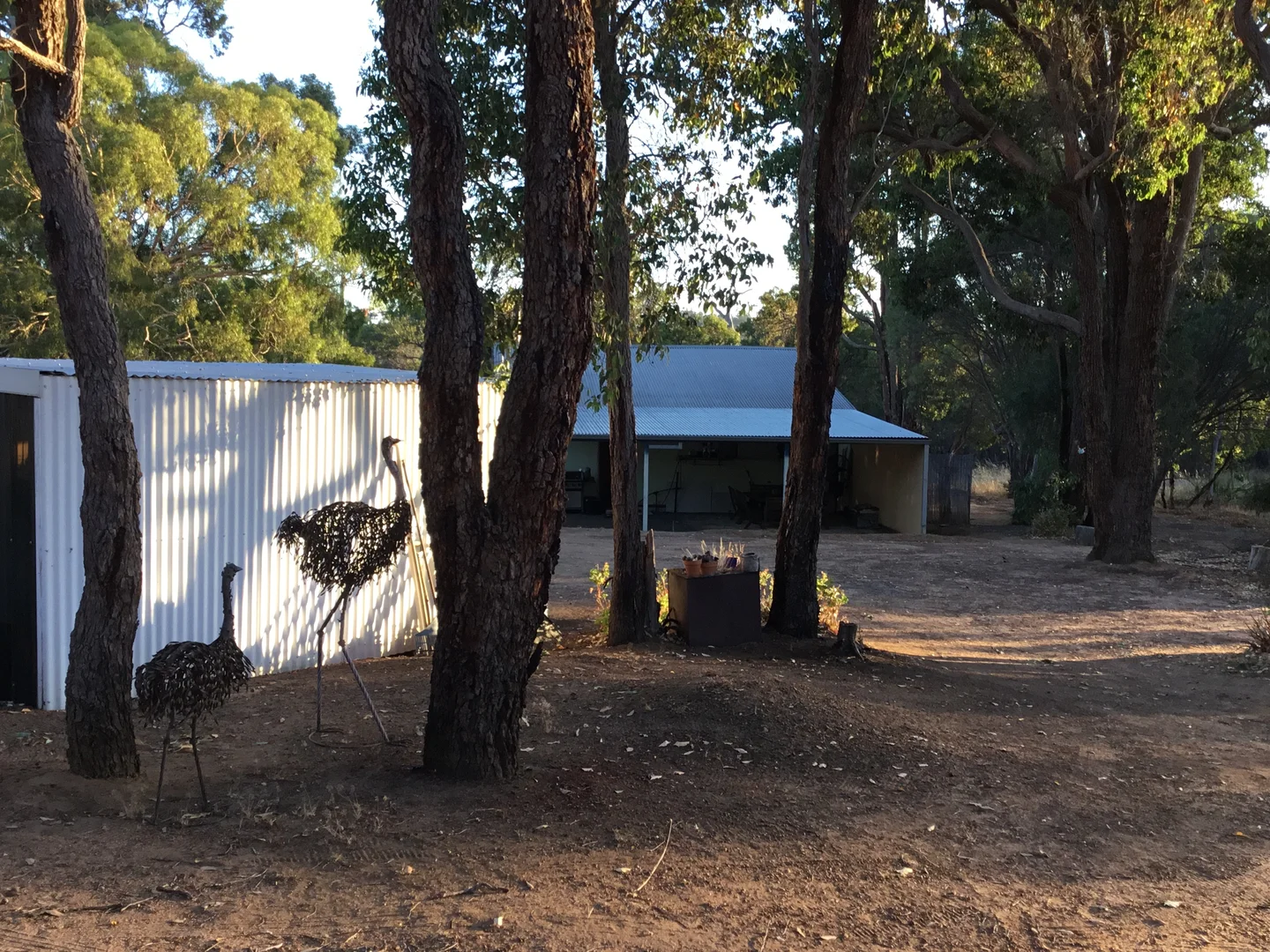 Additional image 8 of 17 Piesse Street, Muradup WA 6394