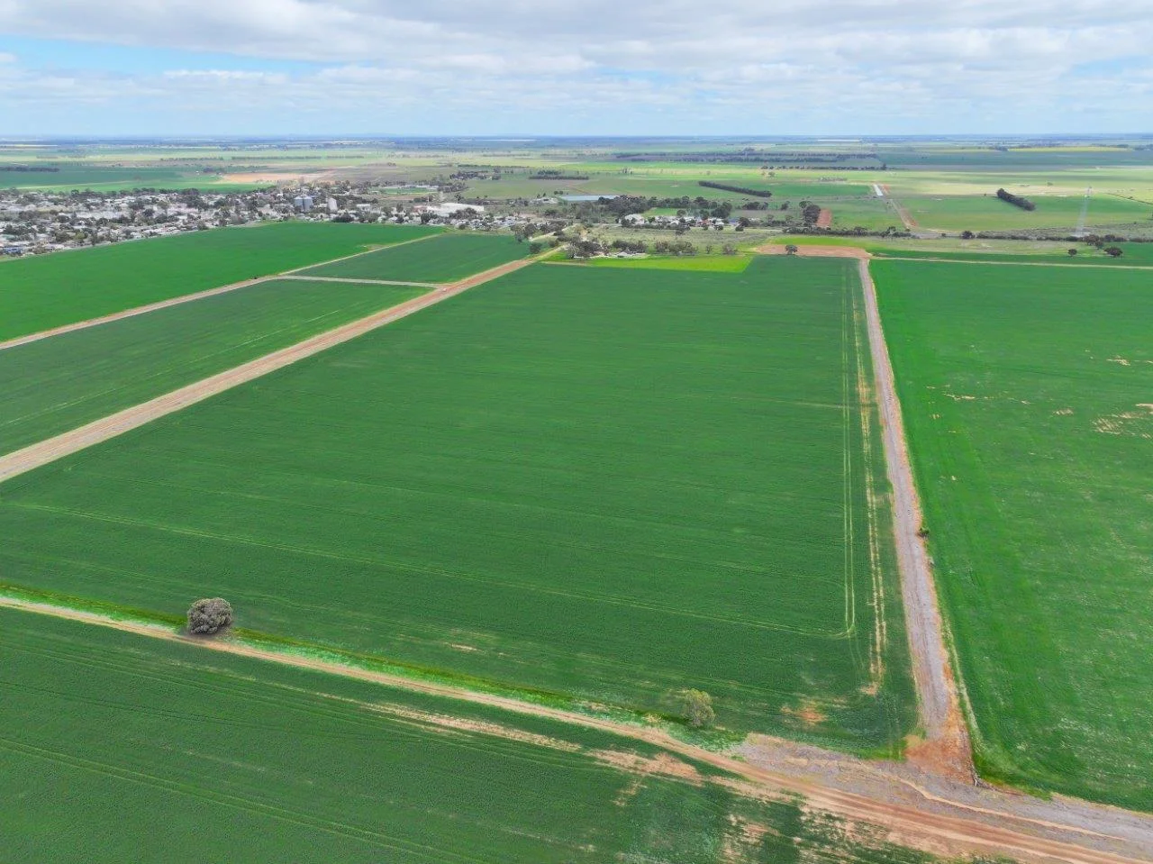 Additional image 4 of - Oneil Street, Pyramid Hill VIC 3575