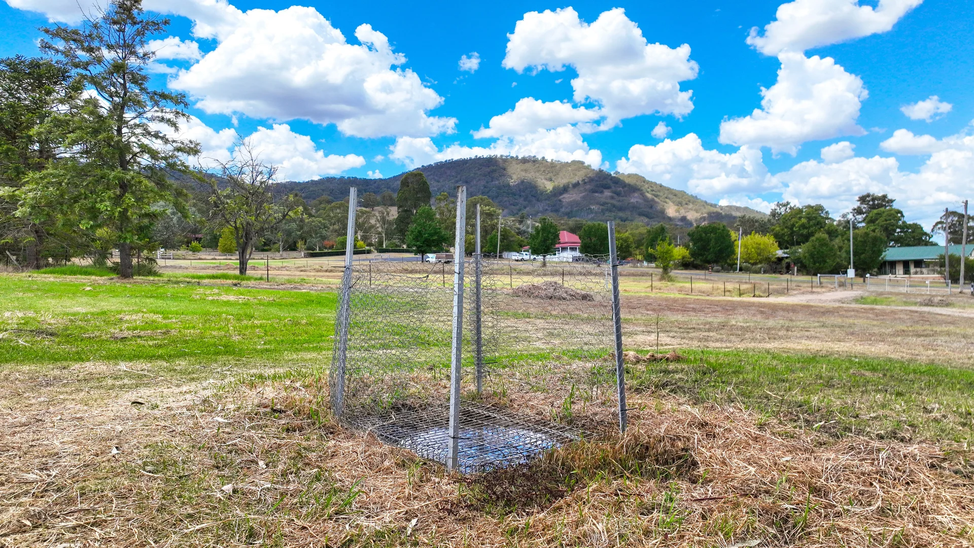 Additional image 5 of 85-87 Murulla Street, Murrurundi NSW 2338