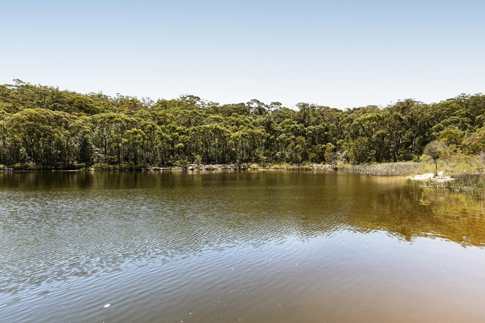 Additional image 26 of 5 Gecko Place, Glenorie NSW 2157