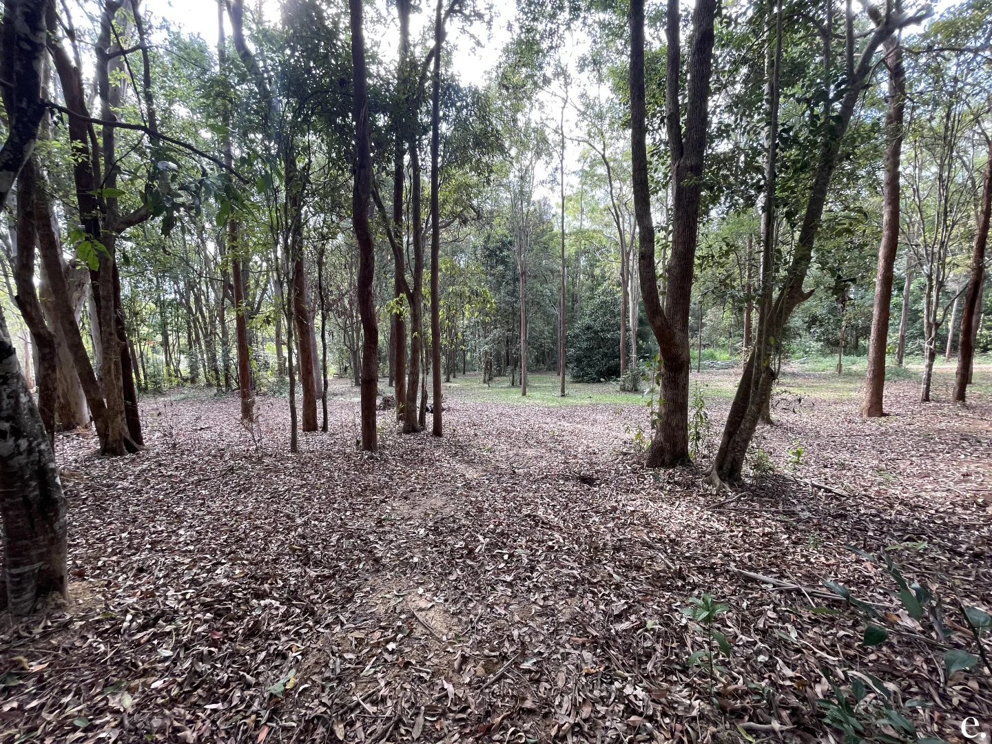Additional image 33 of Lot 3-9/3 Penda Street, Yungaburra QLD 4884