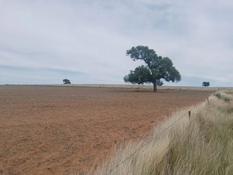 Additional image 21 of Tooraweenah NSW 2817