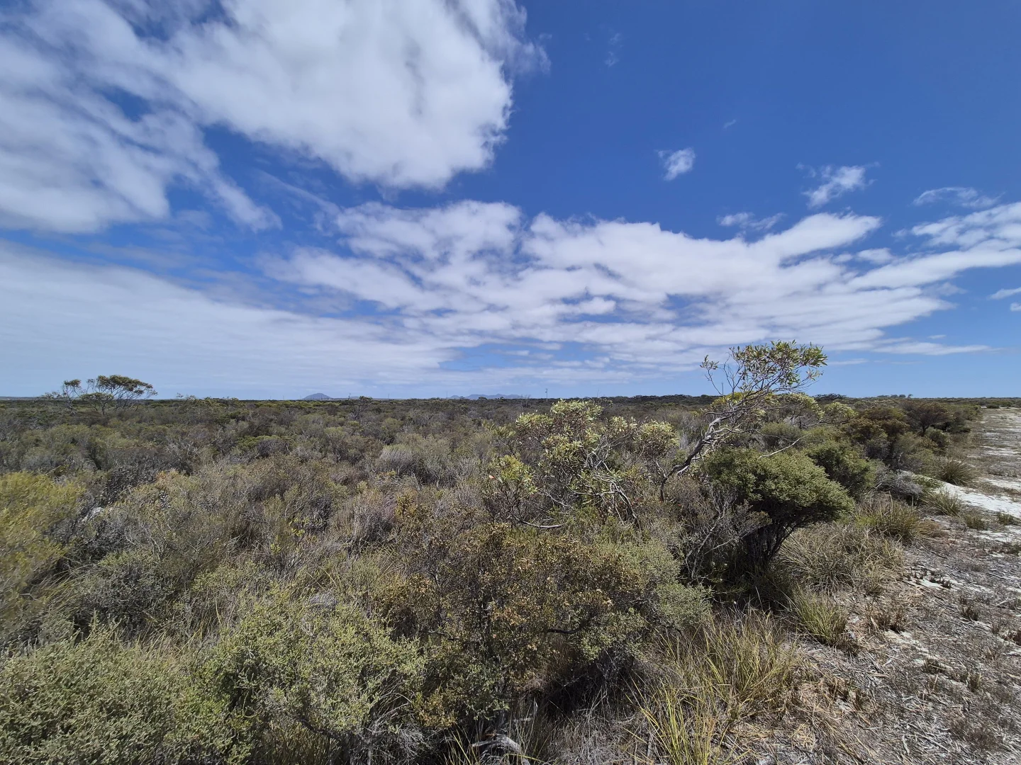 Additional image 8 of 344 Dotterel Drive, Hopetoun WA 6348