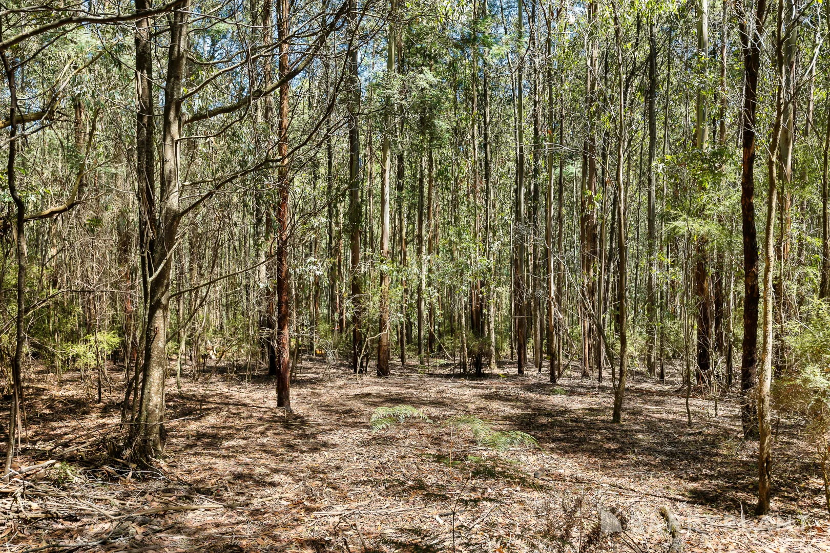 Additional image 10 of 39 Howard Road, Kinglake VIC 3763