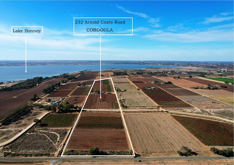 232 Arnold Coats Road, Cobdogla SA 5346