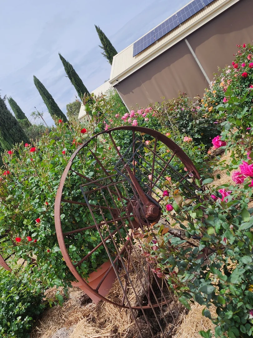 Additional image 24 of 340 Tohls Road, Booborowie SA 5417