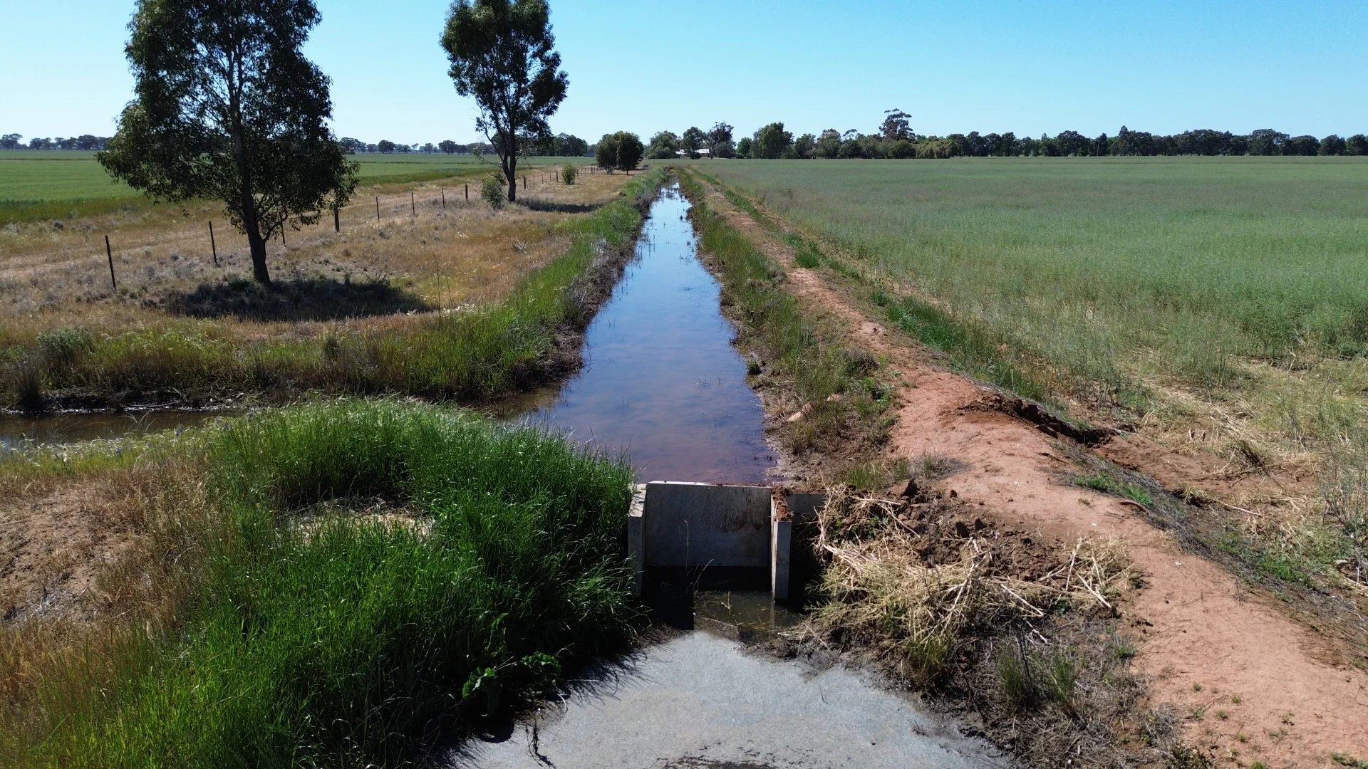 Additional image 17 of 520 Mayrung Road, Finley NSW 2713