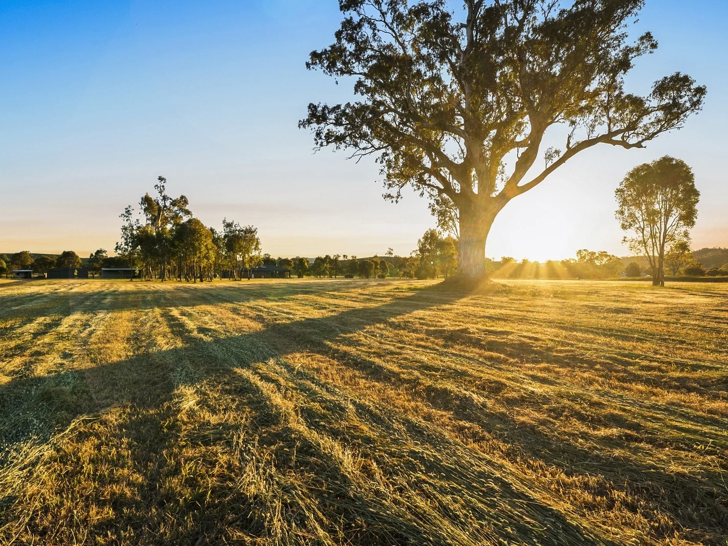 Additional image 14 of 18 Grimwade Lane, Mansfield VIC 3722