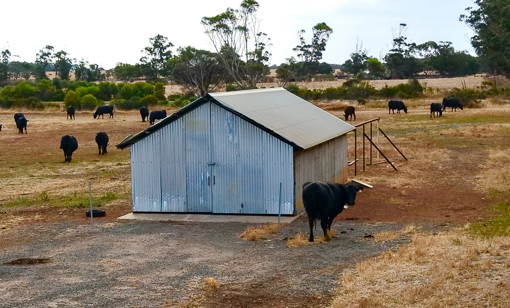 Additional image 10 of 4842 Chester Pass Road, Takalarup WA 6324