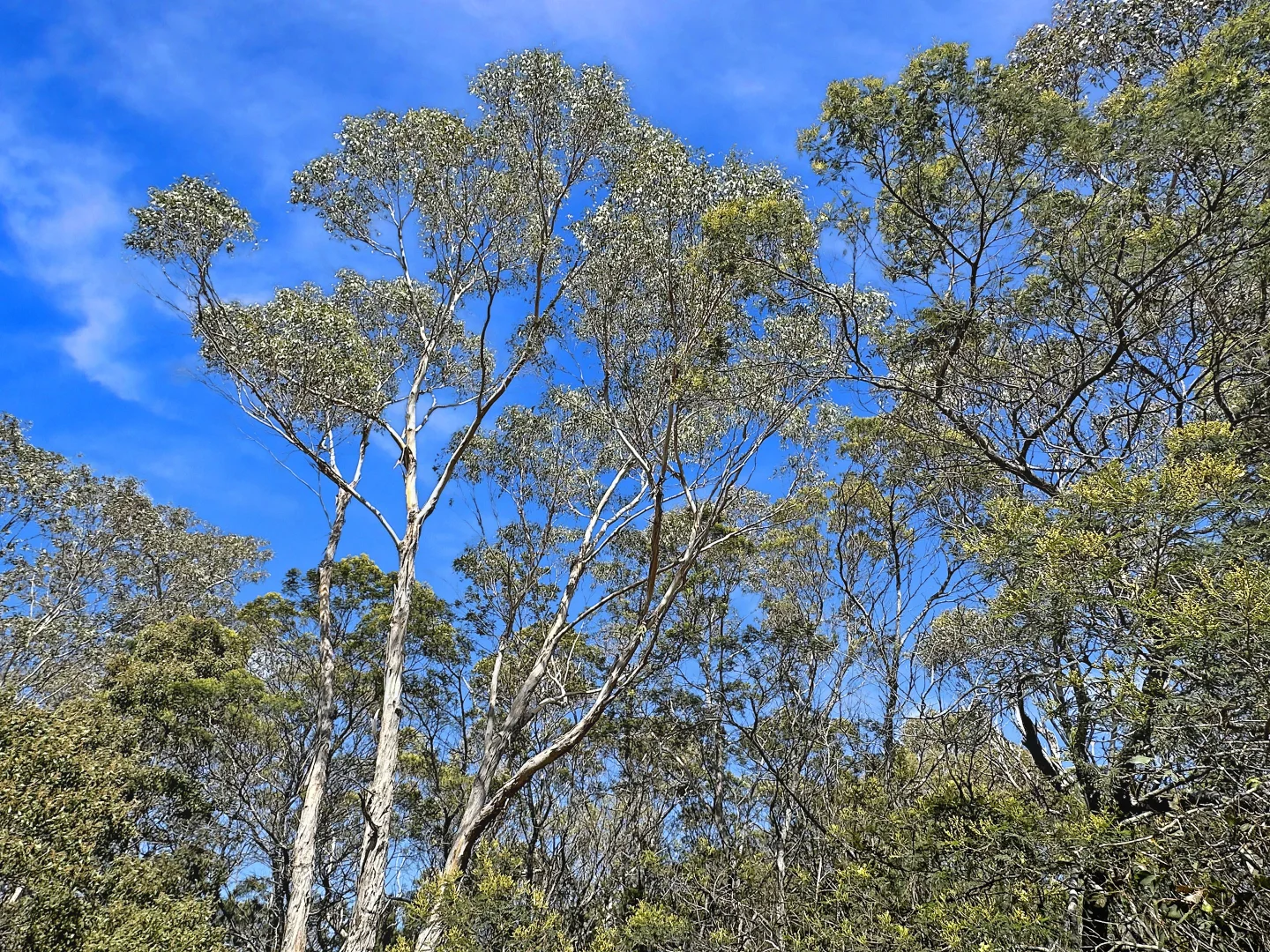 Additional image 6 of 2 Barnard Drive, Bicheno TAS 7215