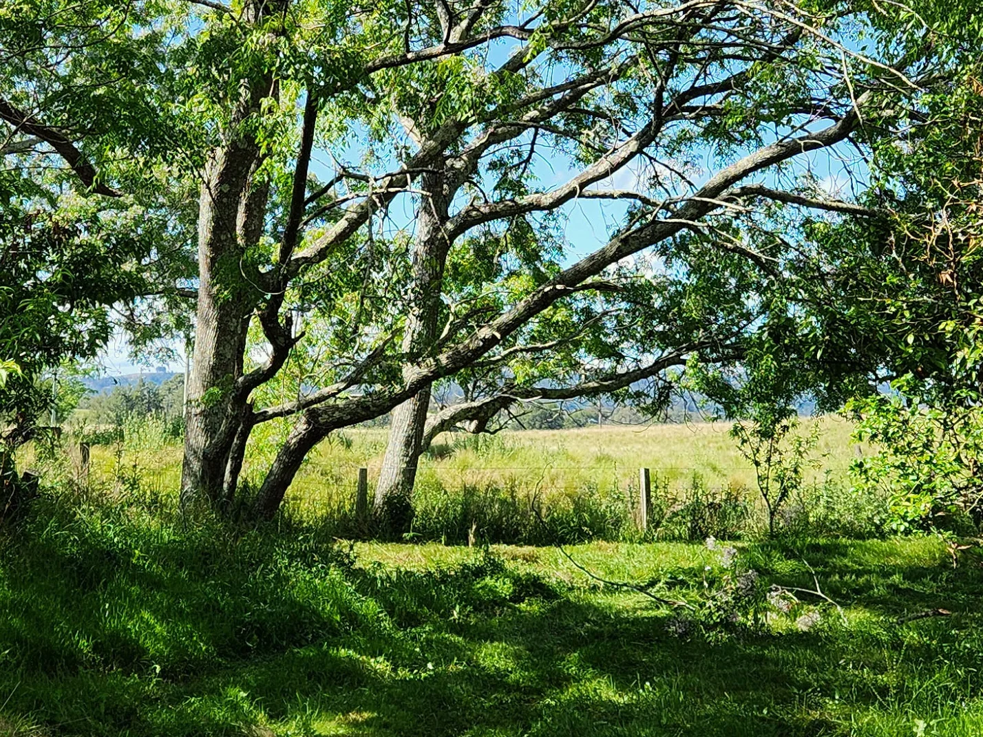 Additional image 4 of Vacy NSW 2421