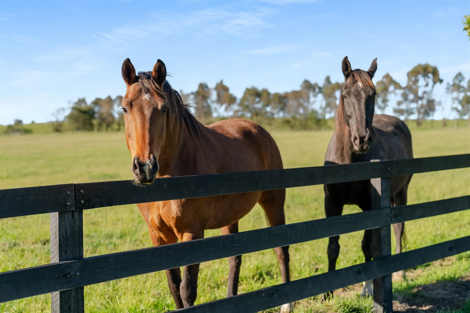 Additional image 26 of 62 Bibby's Lane, Werai NSW 2577