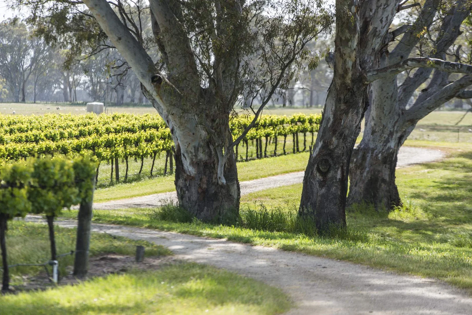 Additional image 9 of Nolans Road, Hynam SA 5262