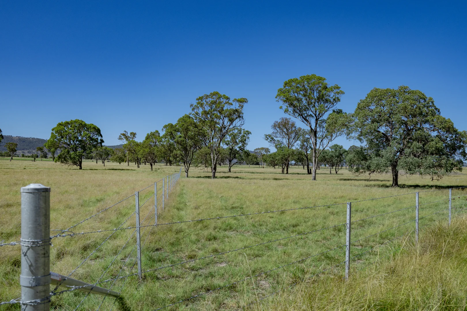 Additional image 2 of 72 Woodside Road, Tenterfield NSW 2372