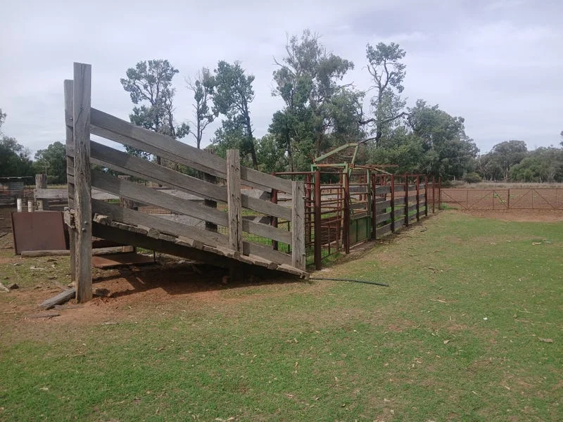 Additional image 9 of Tooraweenah NSW 2817