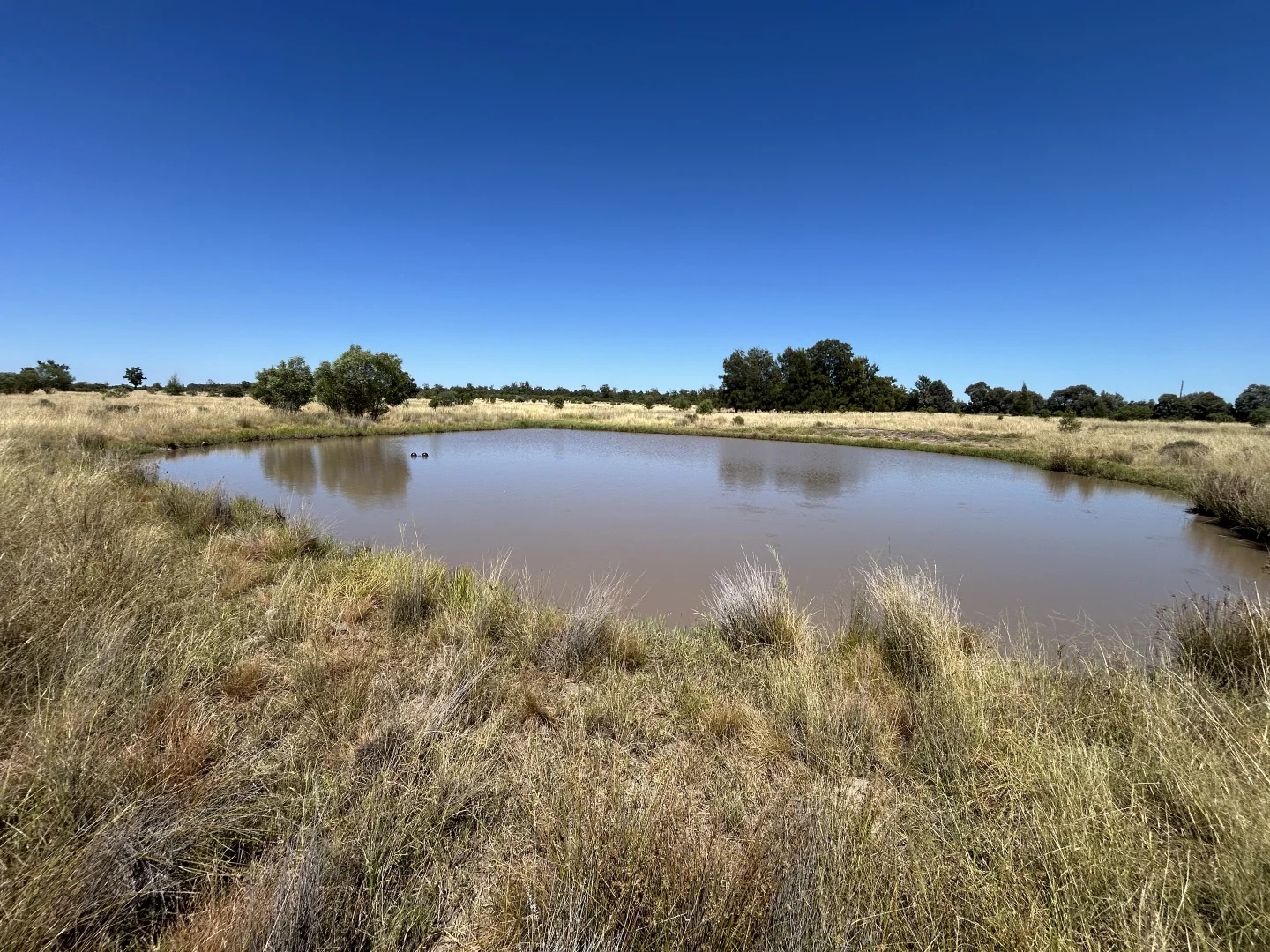 Additional image 25 of Lot 4 Chinchilla-Tara Rd, Wieambilla QLD 4413