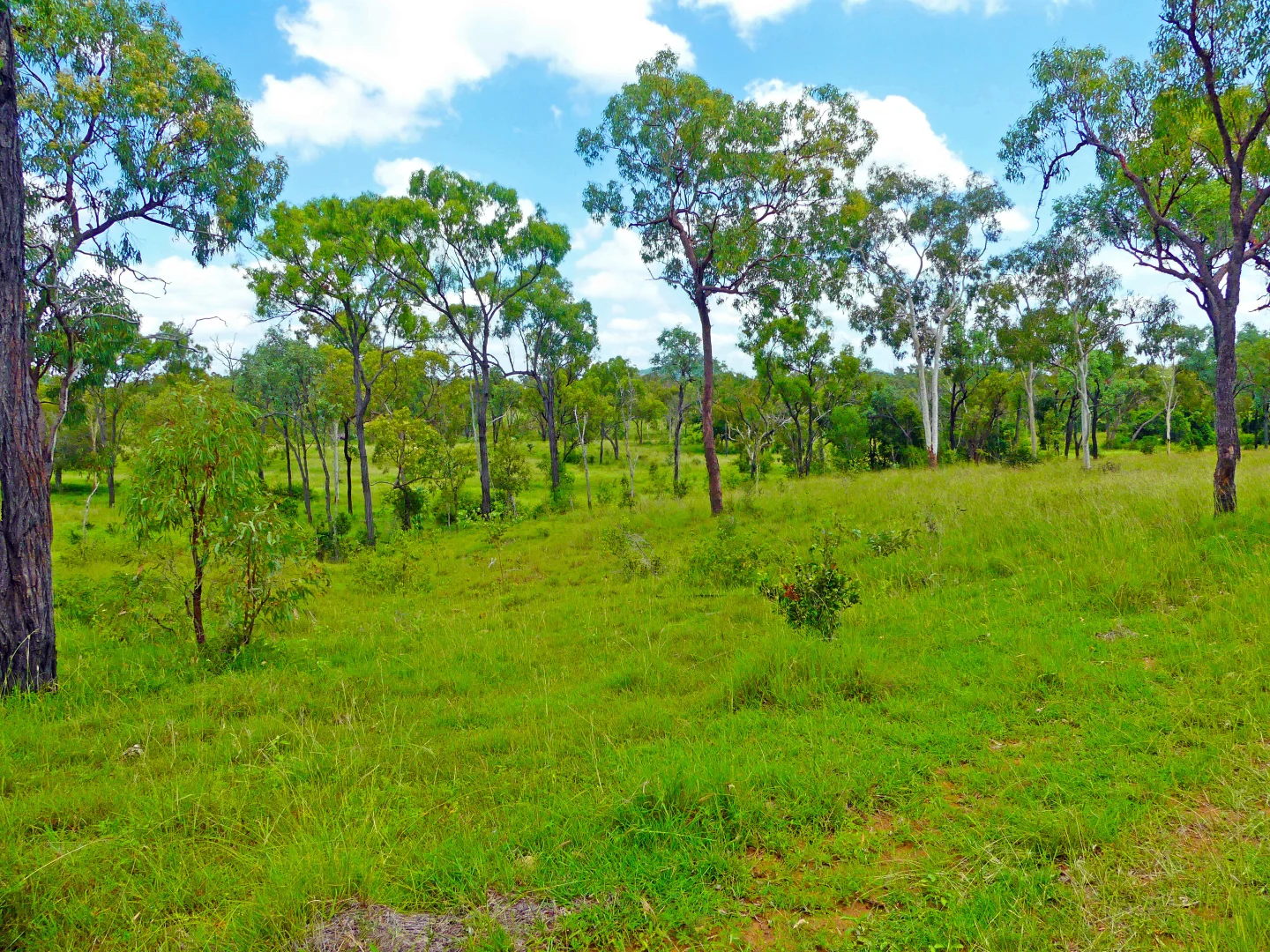 Additional image 18 of "Jacques " 0 Cunningham Road,, Nine Mile QLD 4702