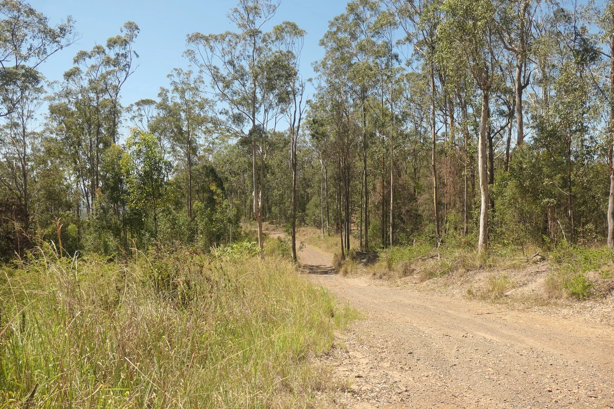 Additional image 39 of 750 Sugar Bag Rd ( West ), Drake NSW 2469