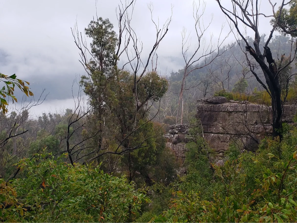 Additional image 6 of Illaroo NSW 2540