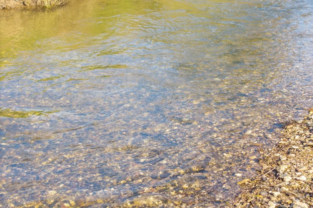 Additional image 3 of LOT 1 of 449 Hickeys Creek Road, Millbank NSW 2440