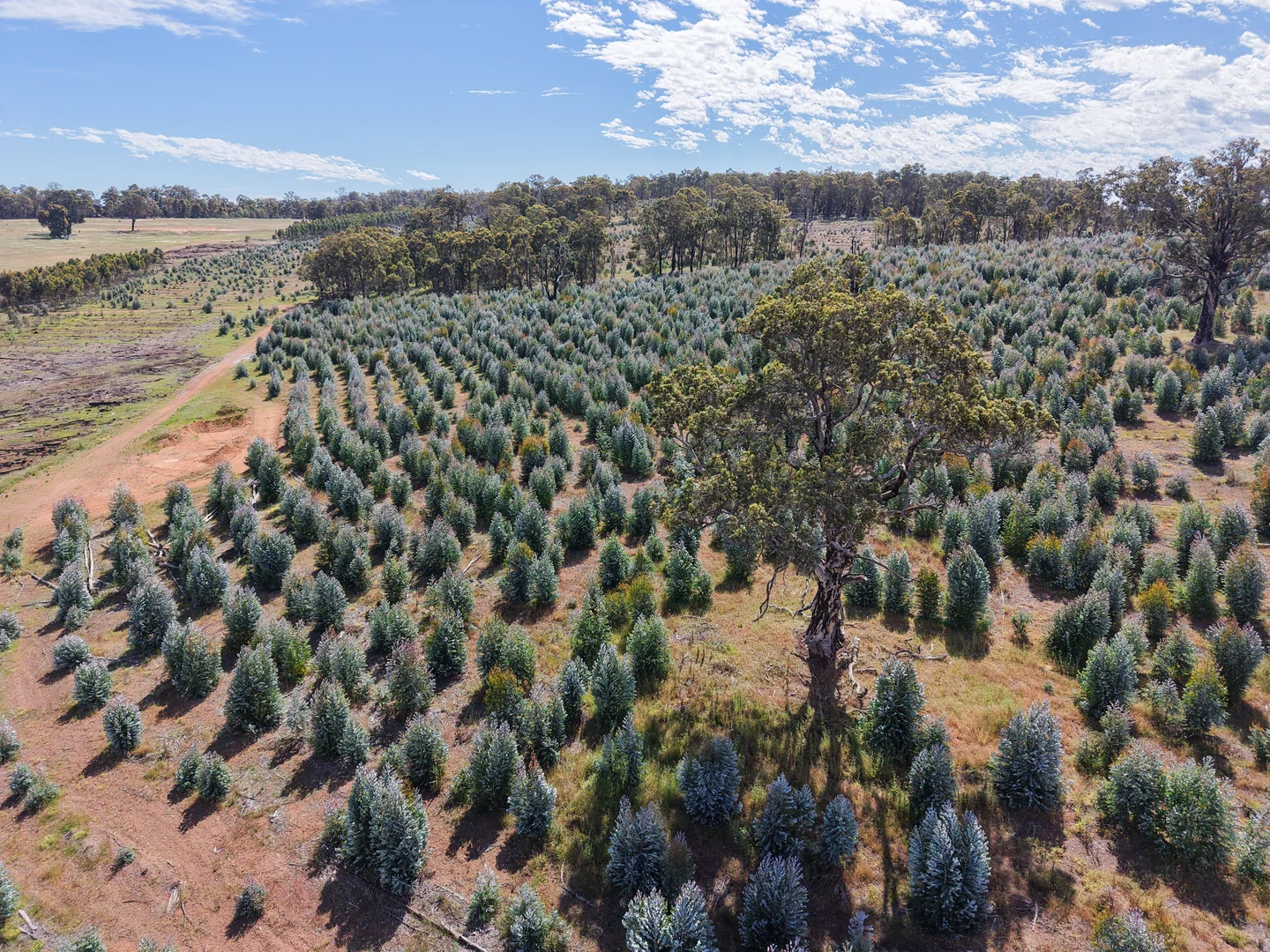 Additional image 8 of Lot 1251 Peninsula Road, Bridgetown WA 6255