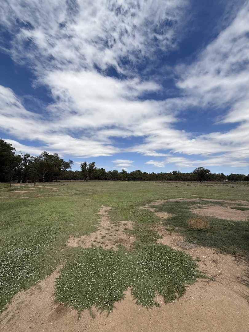 Additional image 52 of 506 North Forbes Rd, Condobolin NSW 2877